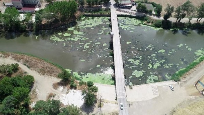 Tunca Nehri'ndeki yeşil adacıklar tedirgin etti