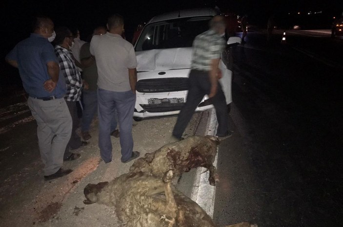 Gaziantep'te sürüye dalan otomobil, 15 koyunu telef etti