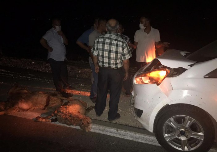 Gaziantep'te sürüye dalan otomobil, 15 koyunu telef etti