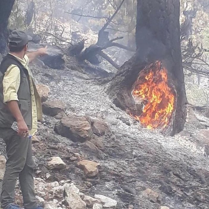 Pozantı'daki yangını 7 kilometrelik hortumla kontrol altına aldılar