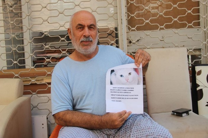 İzmir'de kaybolan kedisini bulana ödül verecek