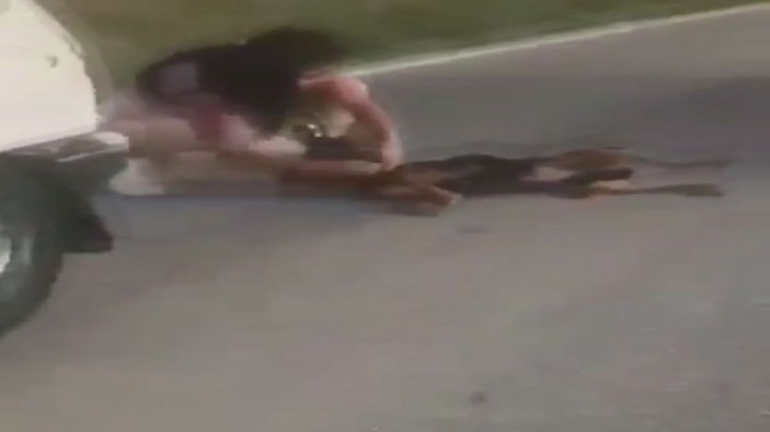 Silivri'de vicdansızlık; Otomobile bağladığı köpeği metrelerce sürükledi -8