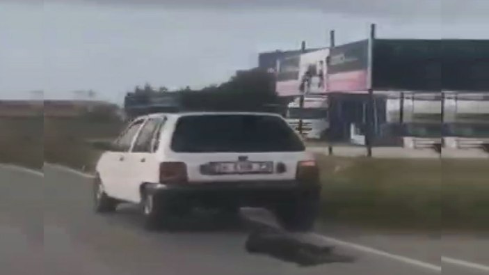 Silivri'de vicdansızlık; Otomobile bağladığı köpeği metrelerce sürükledi -3