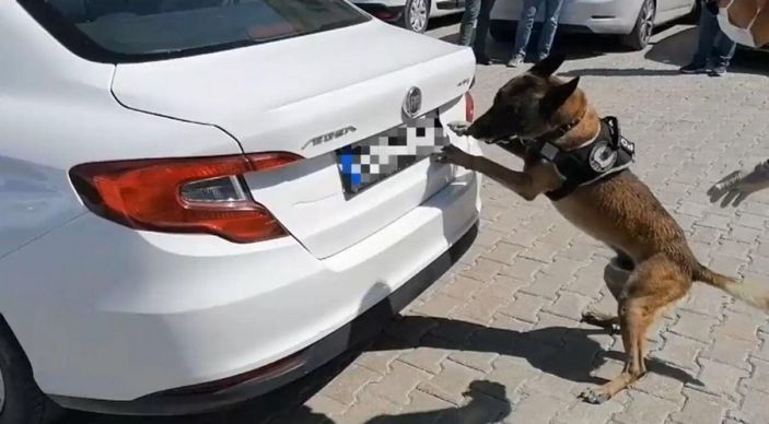 Spor çanta içerisindeki 74 kilo eroin Oscar’a takıldı -6