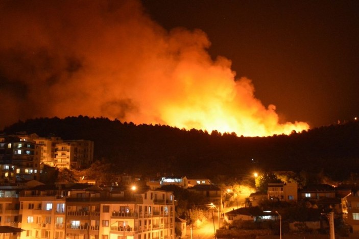 İzmir'de otluk alanda yangın