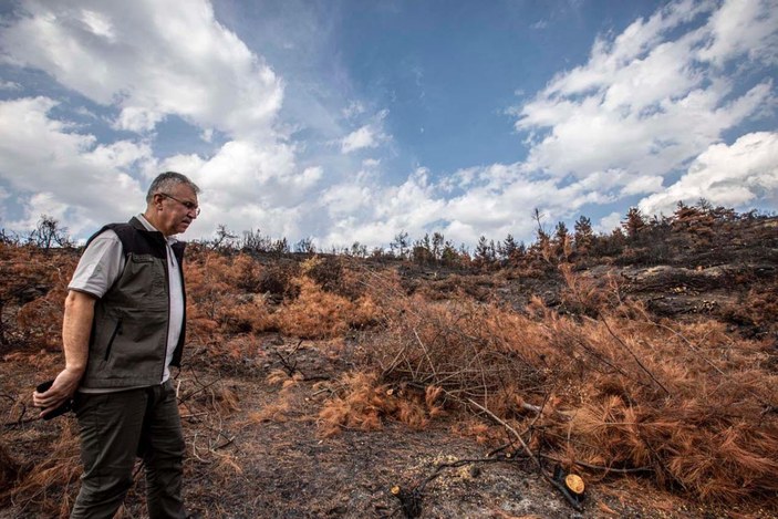 Ahmetli'deki orman yangınında zarar gören alan, yeniden yeşillendirilecek -7
