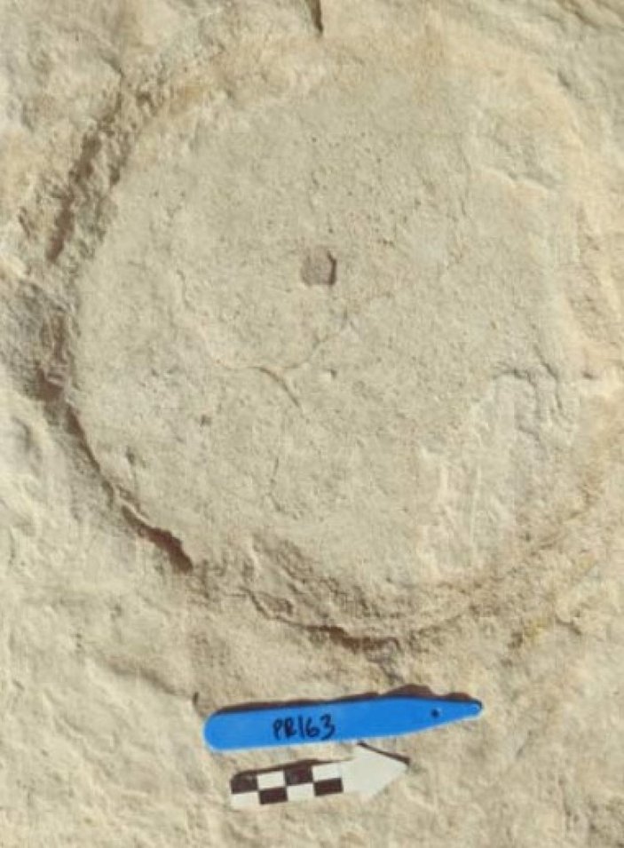 Suudi Arabistan’da 120 bin yıllık ayak izi keşfedildi -2