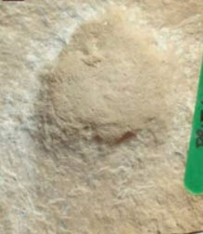 Suudi Arabistan’da 120 bin yıllık ayak izi keşfedildi -4