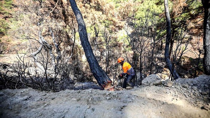 Ahmetli'deki orman yangınında zarar gören alan, yeniden yeşillendirilecek -8
