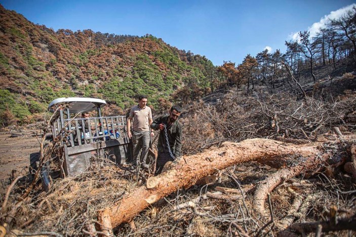 Ahmetli'deki orman yangınında zarar gören alan, yeniden yeşillendirilecek -3