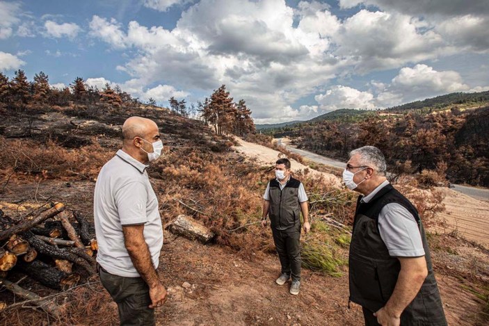 Ahmetli'deki orman yangınında zarar gören alan, yeniden yeşillendirilecek -5