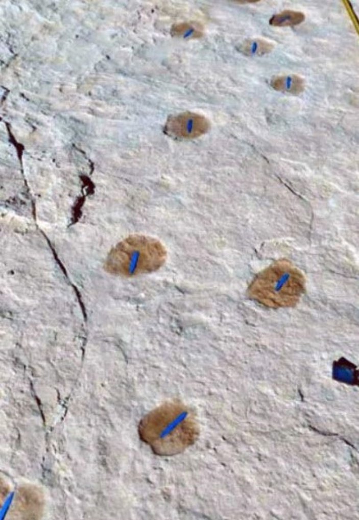 Suudi Arabistan’da 120 bin yıllık ayak izi keşfedildi -3