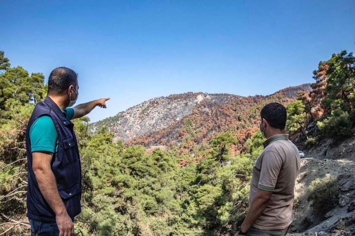 Ahmetli'deki orman yangınında zarar gören alan, yeniden yeşillendirilecek -10