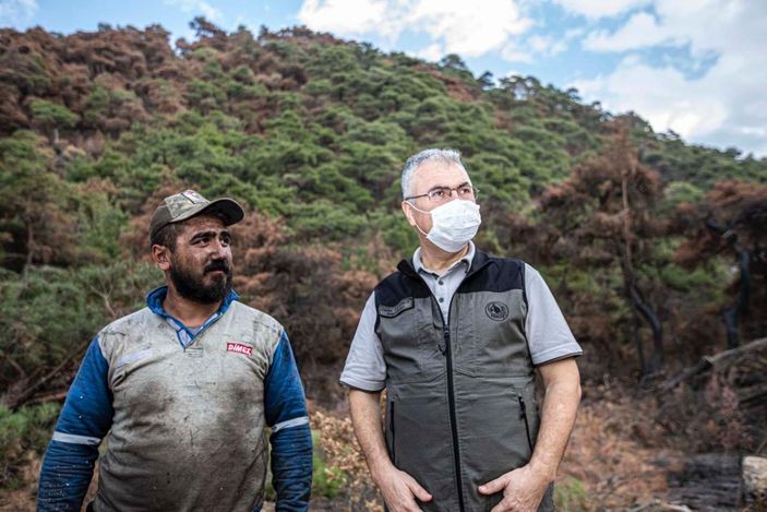 Ahmetli'deki orman yangınında zarar gören alan, yeniden yeşillendirilecek -1