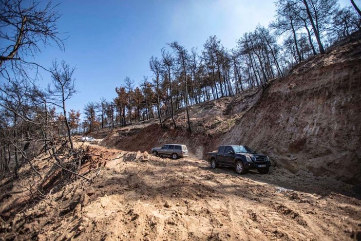 Ahmetli'deki orman yangınında zarar gören alan, yeniden yeşillendirilecek -2