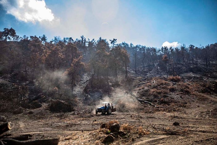 Ahmetli'deki orman yangınında zarar gören alan, yeniden yeşillendirilecek -4