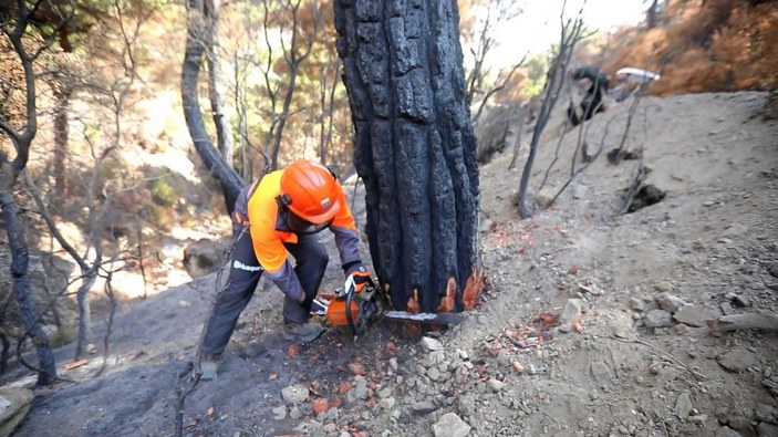 Ahmetli'deki orman yangınında zarar gören alan, yeniden yeşillendirilecek -6