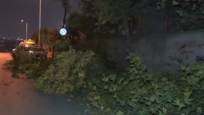 Sultangazi'de park halindeki aracın üstüne ağaç devrildi  -3