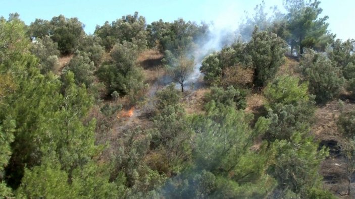 Bursa’da arıları tütsülerken ormanı yaktı -3