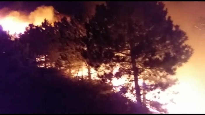 İzmir’deki orman yangını sonrası ağır bilanço: Onlarca hektar ormanlık alan küle döndü -1