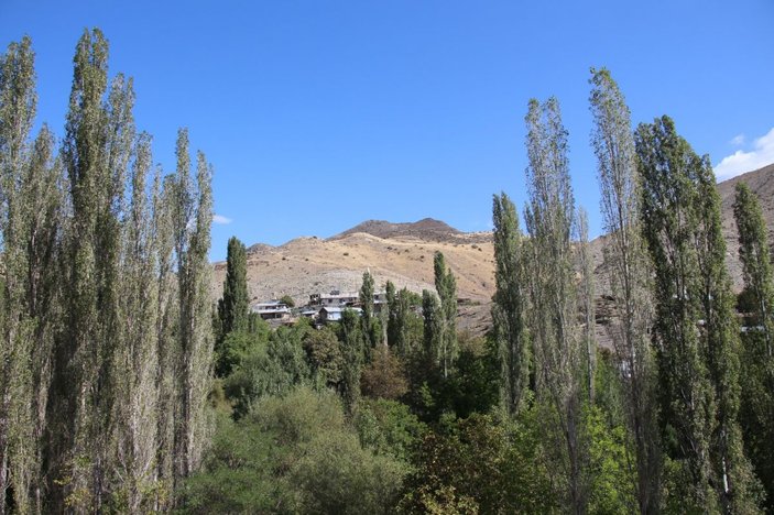 Erzurum'da altın rezervi bulundu