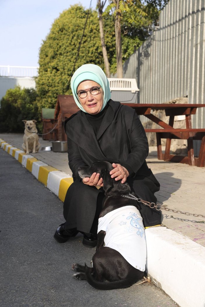 Emine Erdoğan, engelli köpek 'Leblebi'yi sahiplendi -6