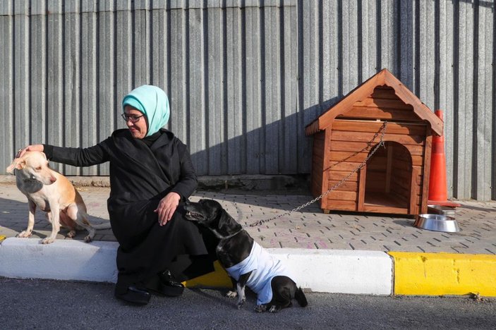 Emine Erdoğan, engelli köpek 'Leblebi'yi sahiplendi -3