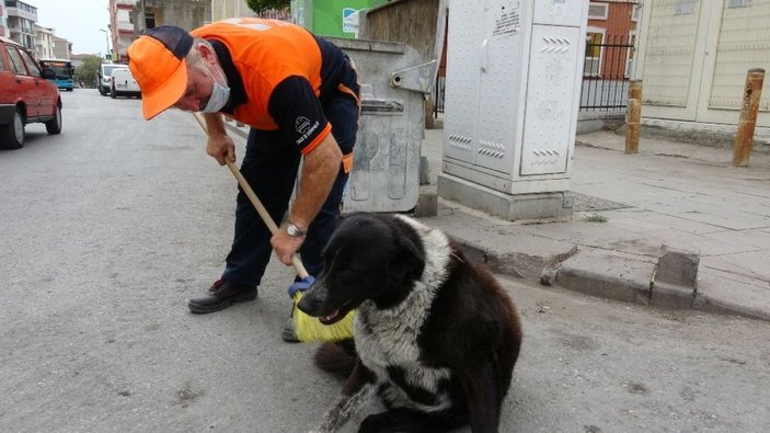 (Özel) Temizlik işçisi süpürgesiyle sokak köpeğine masaj yaptı -2