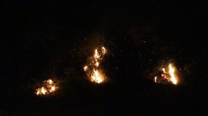 Trabzon'da örtü yangını