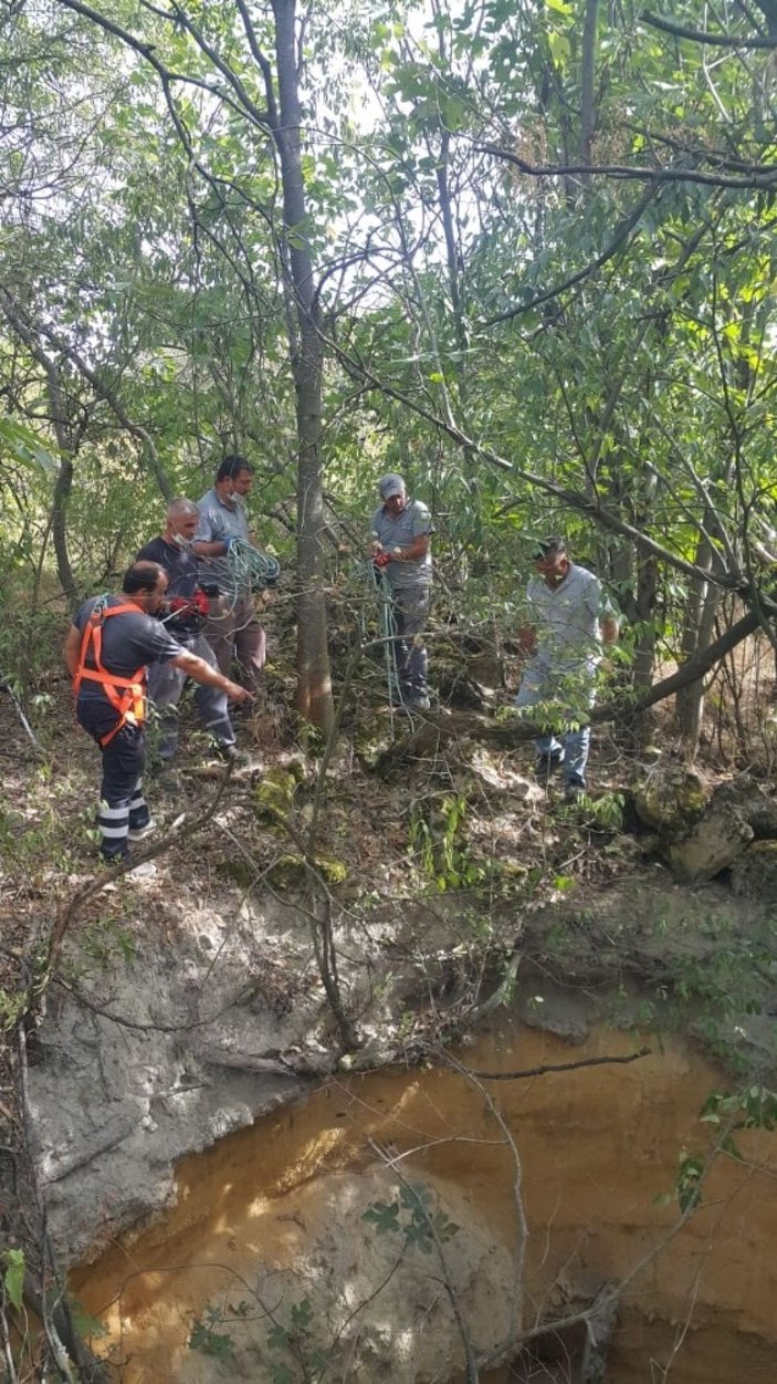 Kuyuya düşen yavru köpeği itfaiye kurtardı -2