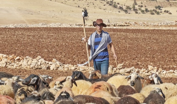Mardin'de taşınabilir rüzgar gülüyle elektrik üreten çoban