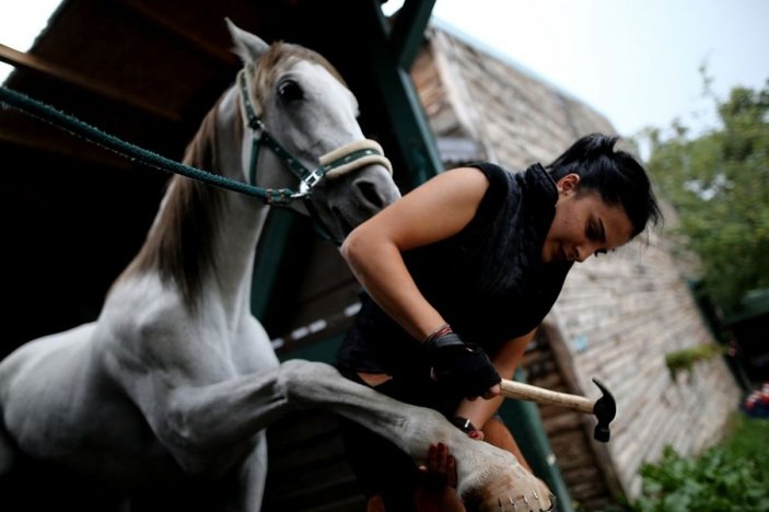 (Özel Haber) Kadının fendi atları yendi -11
