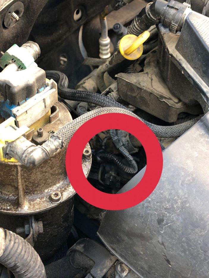 Otomobilin kaputundan çıkan yılanı bulamıyorlar