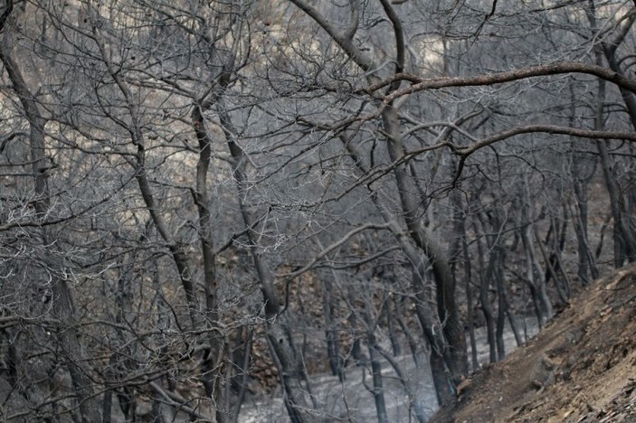 Yangın mağdurları PKK’ya lanet okudu -13