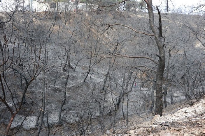 Yangın mağdurları PKK’ya lanet okudu -12