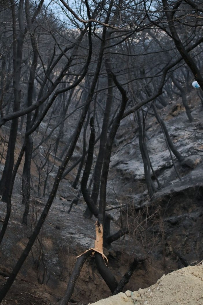 Yangın mağdurları PKK’ya lanet okudu -23