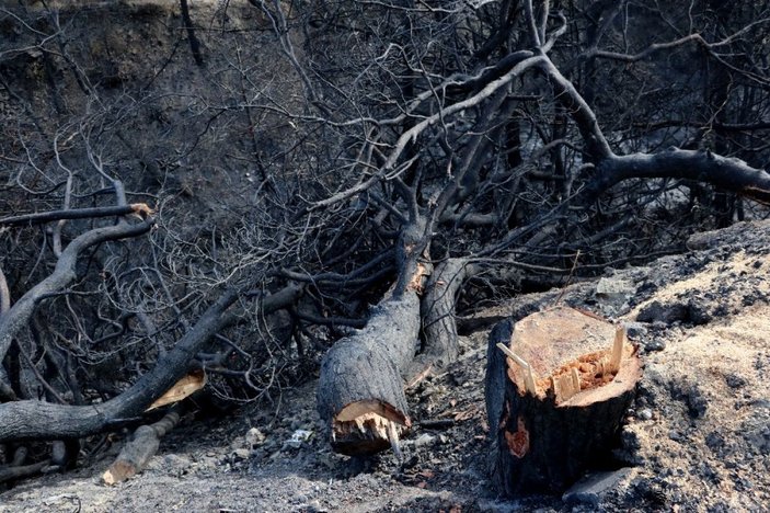 Yangın mağdurları PKK’ya lanet okudu -19