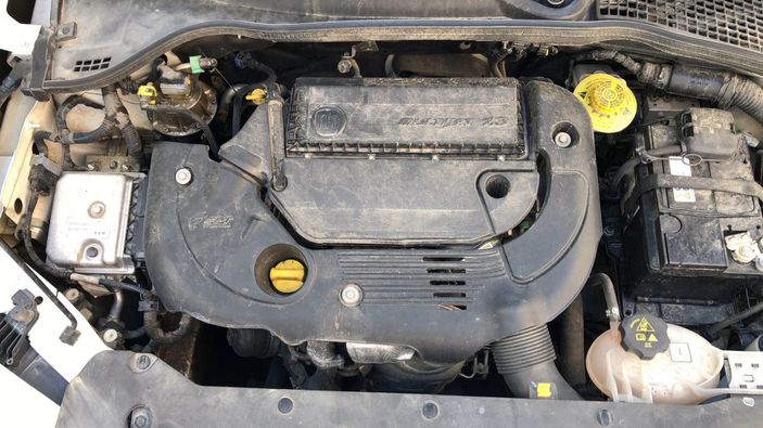 Otomobilin kaputundan çıkan yılanı bulamıyorlar