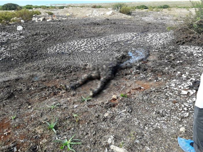 d Aydın'da kayıp emekli hemşirenin öldürüldüğü ortaya çıktı