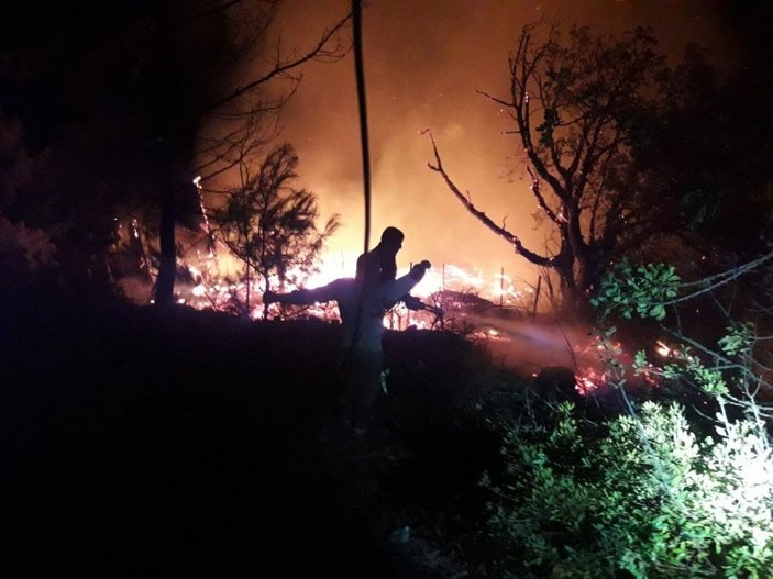Kabak Koyu’ndaki yangında çok sayıda bungalov kül oldu -2