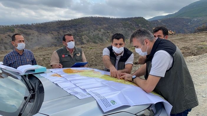 Hatay’da yanan ormanlık alana fidan dikmeyin uyarısı -2