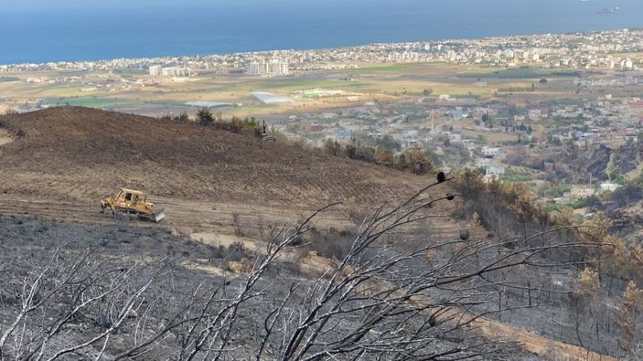 i Hatay’da yanan ormanlık alana fidan dikmeyin uyarısı -3