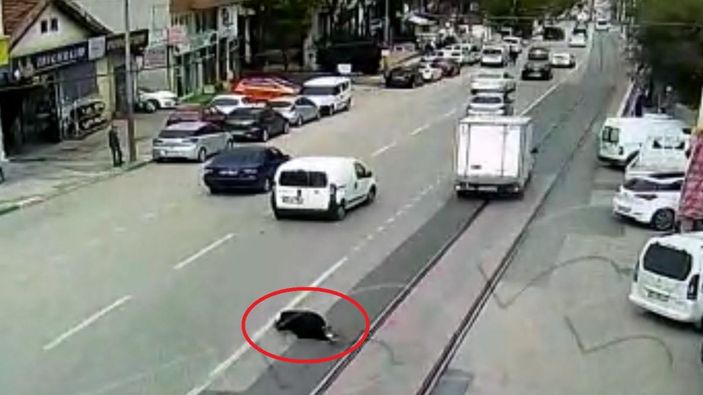 Yaşlı adamın hayatını kaybettiği kaza kamerada -8