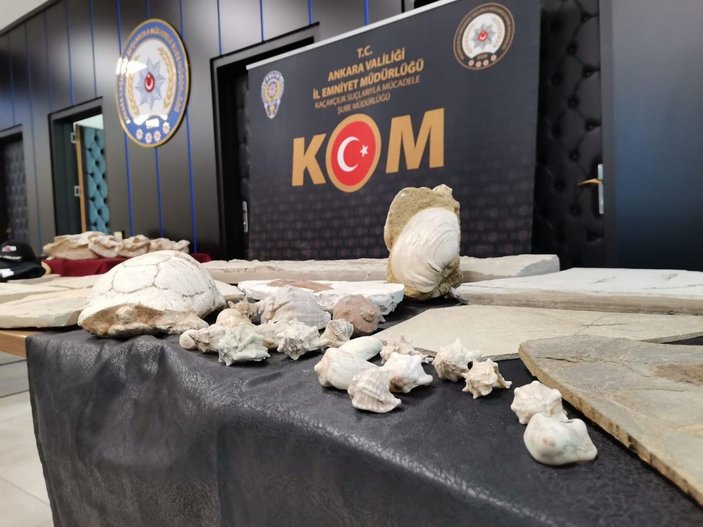 Ankara'da Adnan Oktar suç örgütüne 'kaçak fosil' operasyonu -6