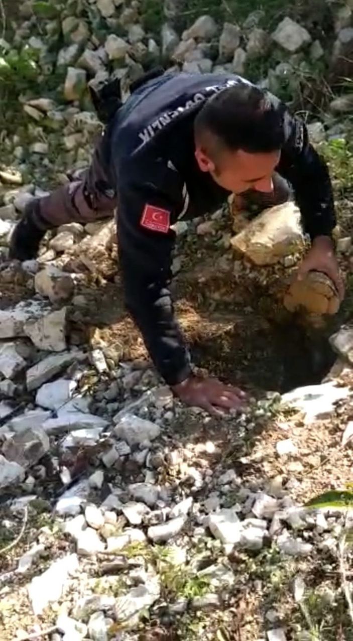 Kuyuya düşen kaplumbağaları güvenlik görevlileri kurtardı  -1