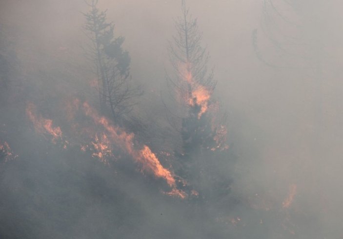 Kastamonu ormanları 4 gündür yanıyor -14