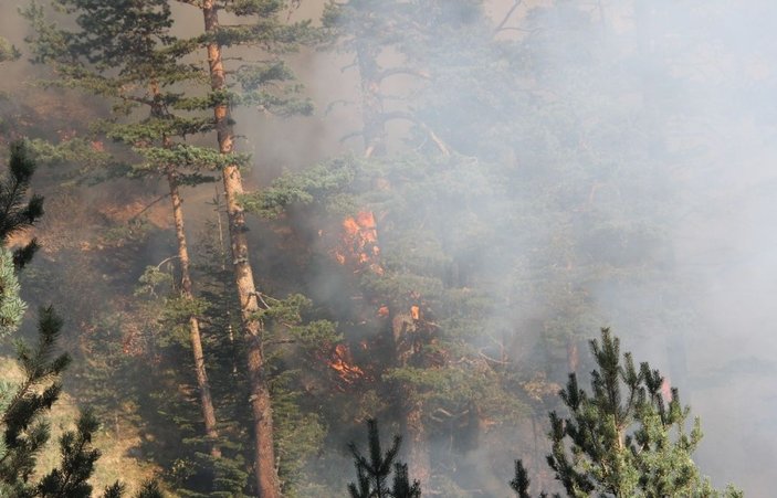 Kastamonu ormanları 4 gündür yanıyor -6