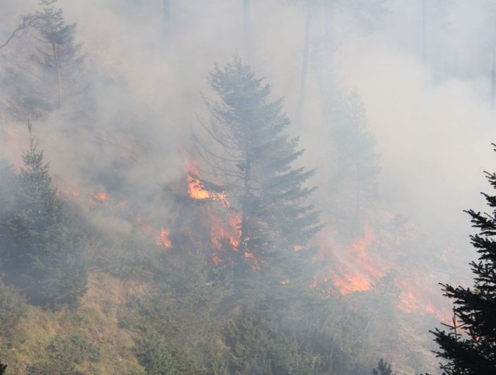 Kastamonu ormanları 4 gündür yanıyor -8