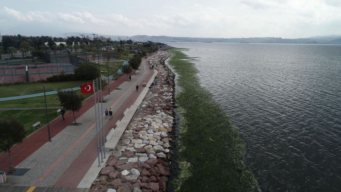 Karşıyaka'da sahil, 'deniz marulu' yosunlarla doldu -6