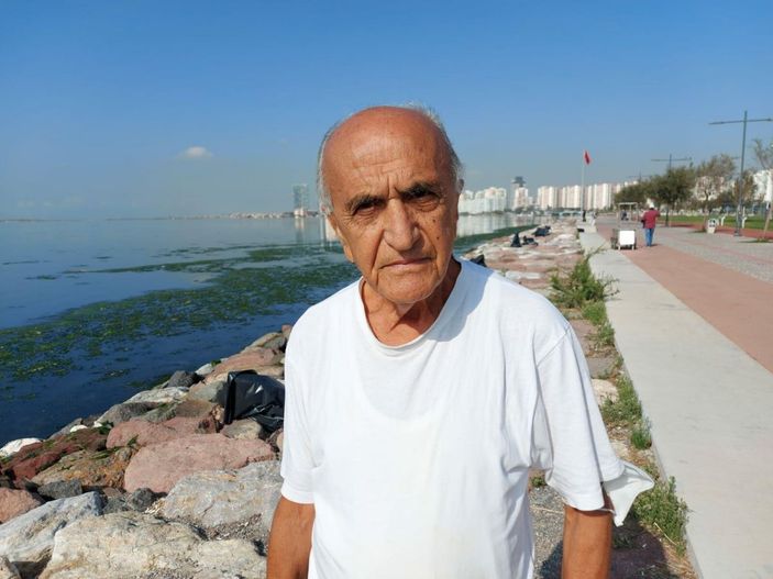 Karşıyaka'da sahil, 'deniz marulu' yosunlarla doldu -2